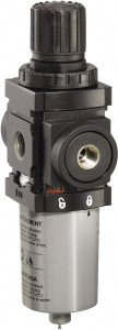 ARO Fluid Management 1/4 NPT Miniature 1 Pc Filter/Regulator FRL Unit 47 SCFM, 250 Max psi, Metal Bowl, Automatic Drain P39124-124 - 63864201