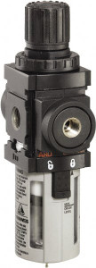 ARO Fluid Management 1/8 NPT Miniature 1 Pc Filter/Regulator FRL Unit 43 SCFM, 150 Max psi, Polycarbonate Bowl, Manual Drain P39114-100 - 79118626
