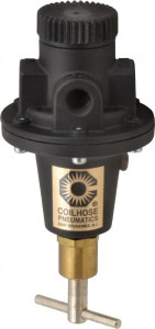 Coilhose Pneumatics 1/4 NPT 0 - 200 psi Tamper Proof Heavy-Duty T-Handle Cast Aluminum Regulator 250 Max Supply psi, 40 CFM, 250°F Max, 3" Wide x 5-1/2" High 8802KH - 80074503