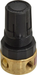 Parker Hannifin 1/4 NPT 2 - 125 psi Miniature Brass Regulator 300 Max Supply psi, 32 to 125°F, 1-1/2" Wide x 2.87" High 20R113GC - 08610230