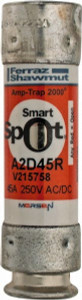 Ferraz Shawmut 250 VAC/VDC, 45 Amp, Time Delay General Purpose Fuse Clip Mount, 76mm OAL, 100 at DC, 200 at AC kA Rating, 13/16" Diam A2D45R - 54015649
