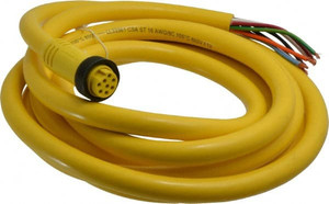 Brad Harrison - Molex 7 Amp, Female Straight to Pigtail Cordset Sensor and Receptacle 600 Volt, 3.66m Cable Length, IP67 Ingress Rating 208000A01F120 - 09542002