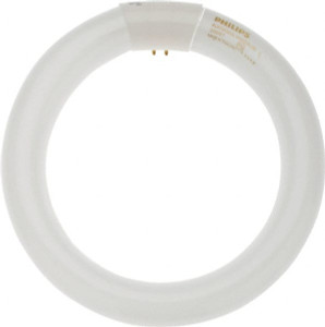 Philips 22 Watt Fluorescent Tubular 4 Pin Lamp 4,100°K Color Temp, 1,050 Lumens, T9, 12,000 hr Avg Life 391169 - 09312497