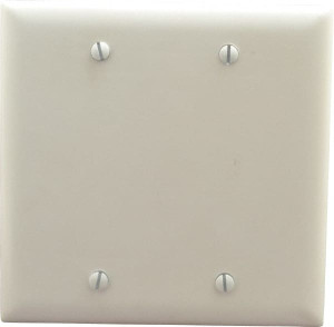 Legrand Pass & Seymour 2 Gang, 4-3/4 Inch Long x 4-11/16 Inch Wide, Standard Blank Wall Plate Blank, White, Nylon TP23W - 01189638
