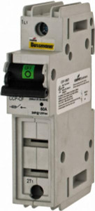 Bussmann 1 Phase, 125VDC & 600VAC, 1 Pole, Open Fused Cam & Disconnect Switch 1 Wire CCP-1-60CF - 91699975
