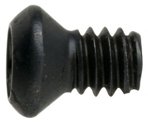 Kennametal #3-48 T8 Torx Cap Screw for Indexables Oval Head, Insert Compatible, Series Q Series 1963865 - 99334518