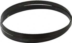 Disston Welded Bandsaw Blade: 8' Long, 0.032" Thick, 10 TPI Carbon Steel, Toothed Edge, Constant Pitch E1937 - 01193648
