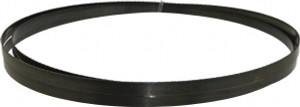 Disston Welded Bandsaw Blade: 9' 6" Long, 0.025" Thick, 14 TPI Carbon Steel, Toothed Edge, Constant Pitch E1759 - 00548271