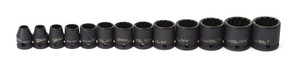 Williams Industrial Tools 12 pc 3/8" Drive 12-Point Metric Shallow Socket Set  on Rail and Clips - JHW36923