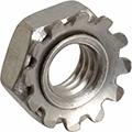 Hex Nuts With Lock Washers image