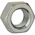 Nuts image