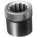 Allen Nuts image