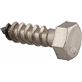 Lag Screws image