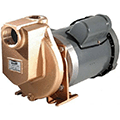 Self-Priming Pumps image