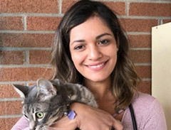  Personalized Veterinary Nutrition Plan For Pets 