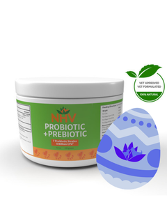  Probiotic & Prebiotic for Dogs 
