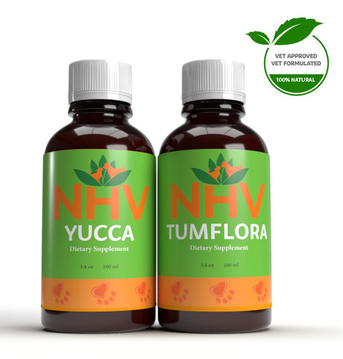 Healthy Gut and Digestive Super Support Kit Healthy Gut and Digestive Super Support Kit