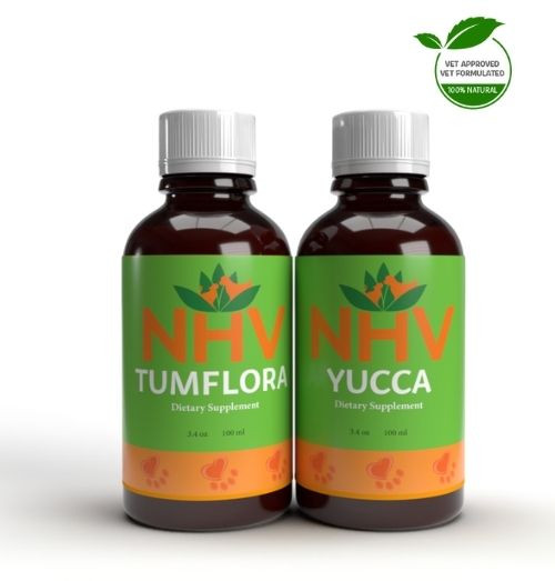 Acid Reflux Support Kit Acid Reflux Support Kit