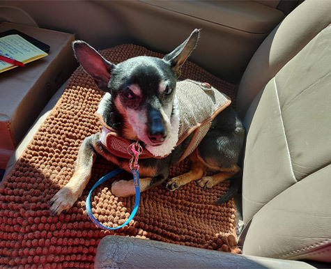 Supporting Tony's Breathing