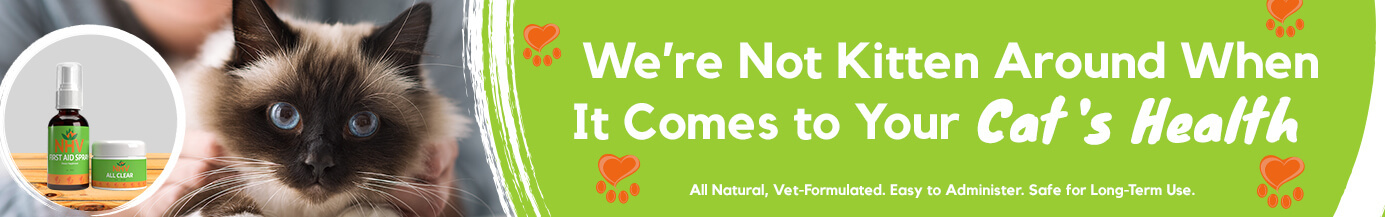 We’re Not Kitten Around When It Comes to Your Cat's Health