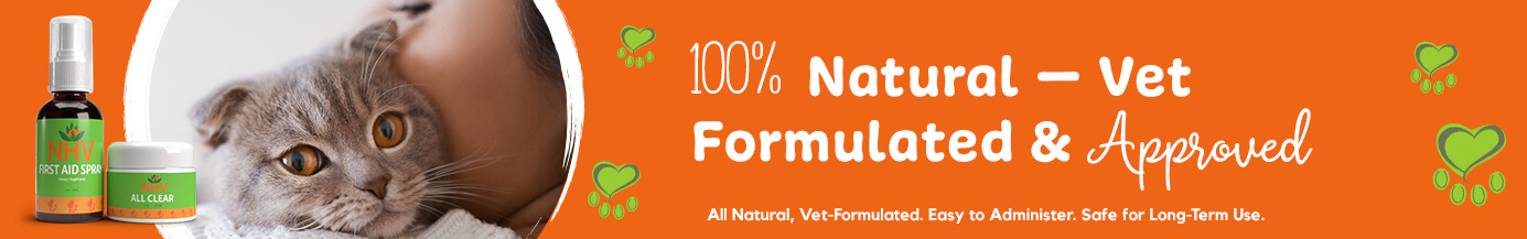 Formulated By Vets To Support the Healing Process