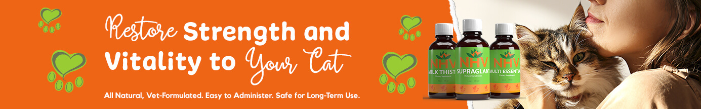 Restore Strength and Vitality to Your Cat