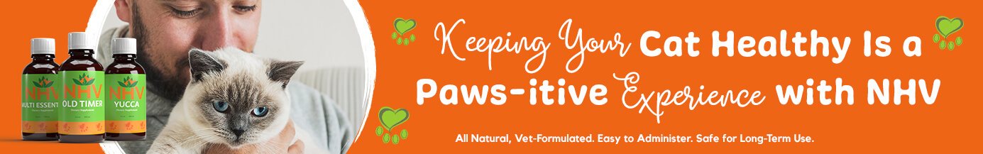 Keeping Your Cat Healthy Is a Paws-itive Experience with NHV
