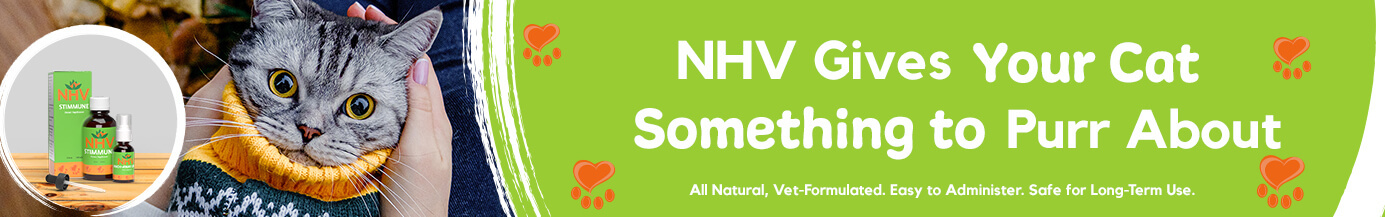 Keeping Your Cat Healthy Is a Paws-itive Experience with NHV