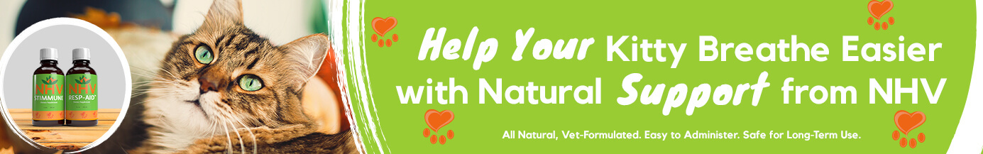Help Your Kitty Breathe Easier With Natural Support From NHV