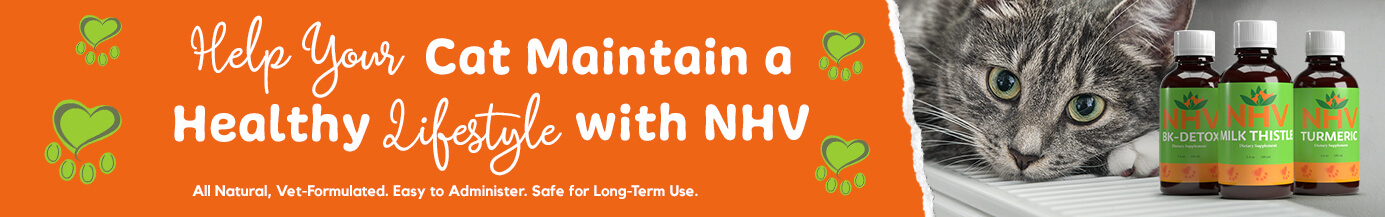 Help Your Cat Maintain a Healthy Lifestyle With NHV