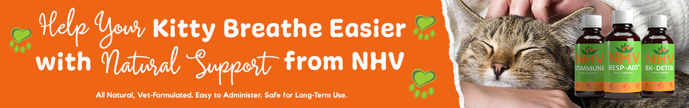 Help Your Kitty Breathe Easier With Natural Support From NHV