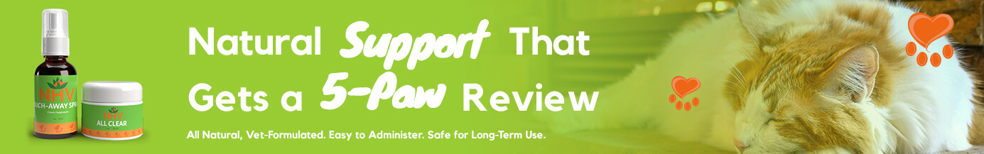 Natural Support That Gets a 5-Paw Review