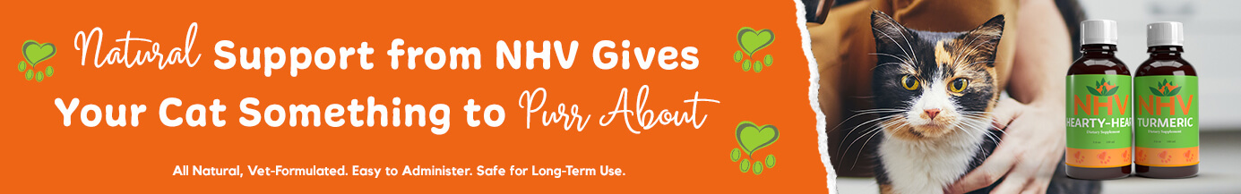 Natural Support from NHV Gives Your Cat Something to Purr About