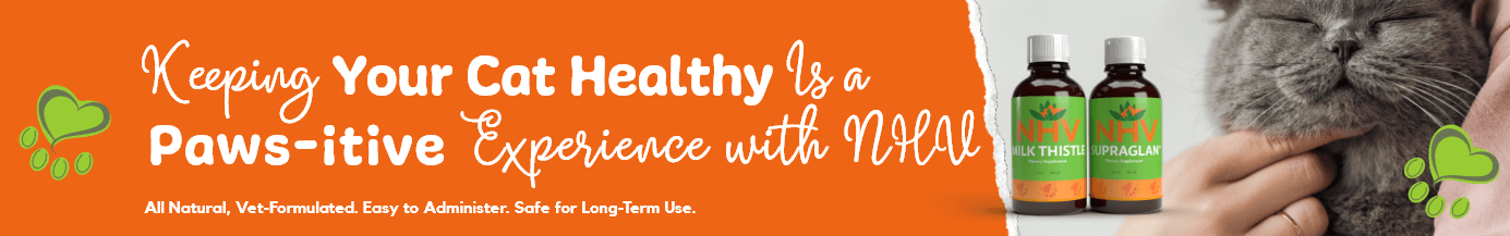 Natural Supplements Designed To Support Your Cat's Recovery & Overall Health