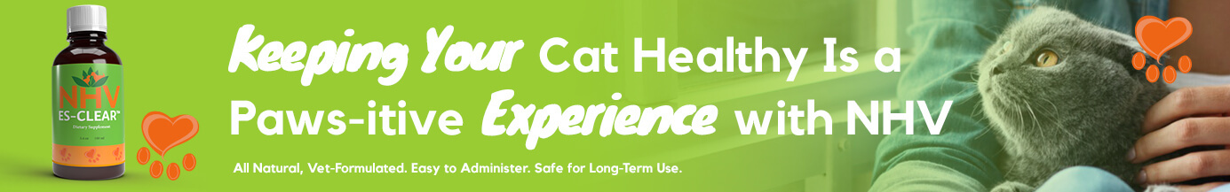 Keeping Yout Cat Healthy Is a Paws-itive Experience with NHV Keeping Yout Cat Healthy Is a Paws-itive Experience with NHV