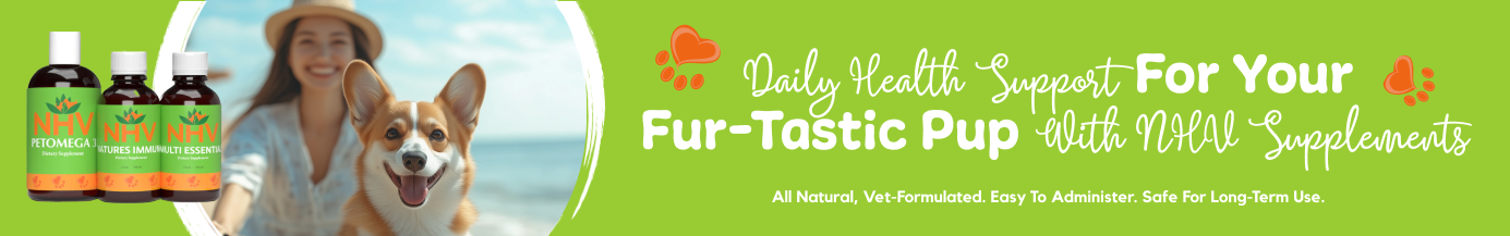 Natural Supplements for Dog Health