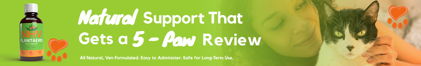 Natural Support That Gets a 5-Paw Review Natural Support That Gets a 5-Paw Review