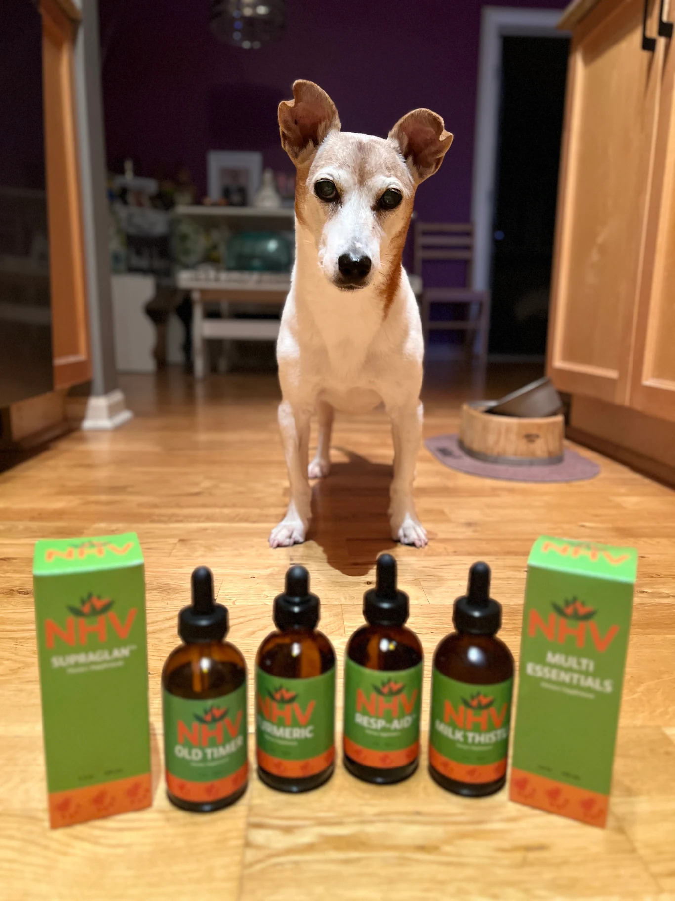 From Heavy Breathing to Happy Zoomies!