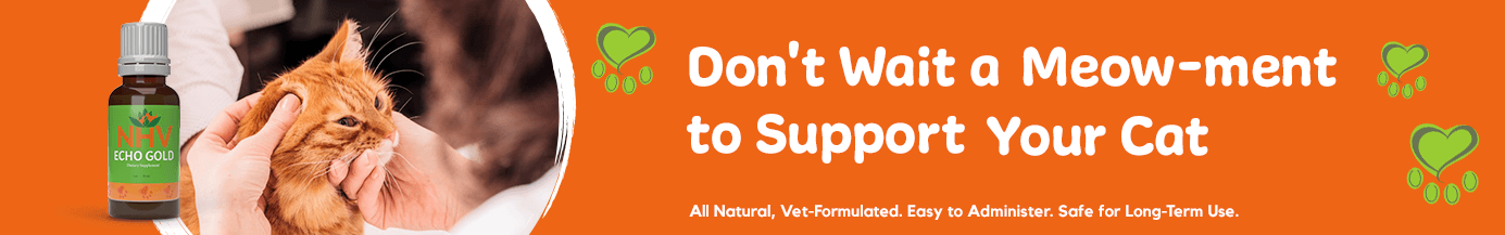 Don't Wait a Meow-ment to Support Your Cat Don't Wait a Meow-ment to Support Your Cat