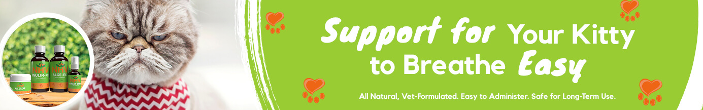 Support for Your Kitty to Breath Easy Support for Your Kitty to Breath Easy