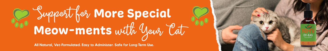 Support for More Special Meow-ments with Your Cat Support for More Special Meow-ments with Your Cat