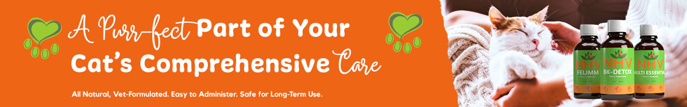 A Purr-fect Part of Your Cat's Comprehensive Care 