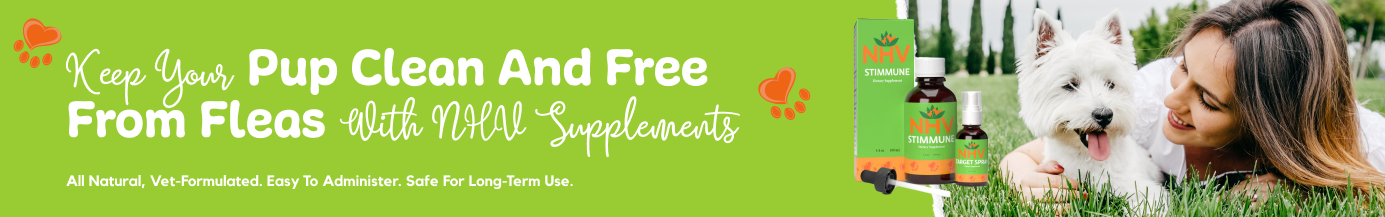 Fleas Kits for Dogs