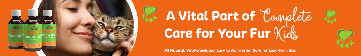 A Vital Part of Complete Care for Your Fur Kids A Vital Part of Complete Care for Your Fur Kids