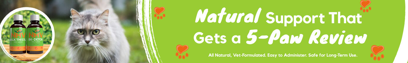 Natural Support That Gets a 5-Paw Review Natural Support That Gets a 5-Paw Review