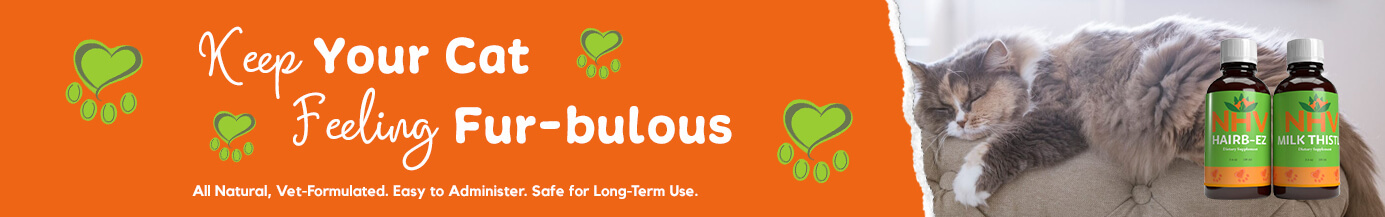Keep Your Cat Feeling Fur-bulous Keep Your Cat Feeling Fur-bulous