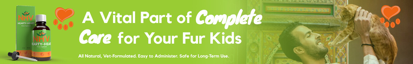 A Vital Part of Complete Care for Your Fur Kids A Vital Part of Complete Care for Your Fur Kids