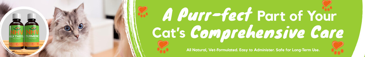A Purfect Part of your Cat's Comprehensive Care A Purfect Part of your Cat's Comprehensive Care