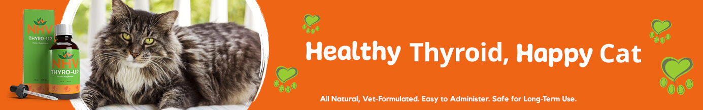 Healthy Thyroid, Happy Cat Healthy Thyroid, Happy Cat