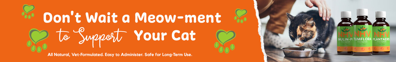 Don't Wait a Meow-ment to Support Your Cat Don't Wait a Meow-ment to Support Your Cat
